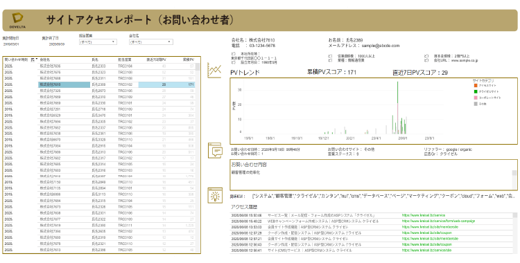 サイトアクセスレポート